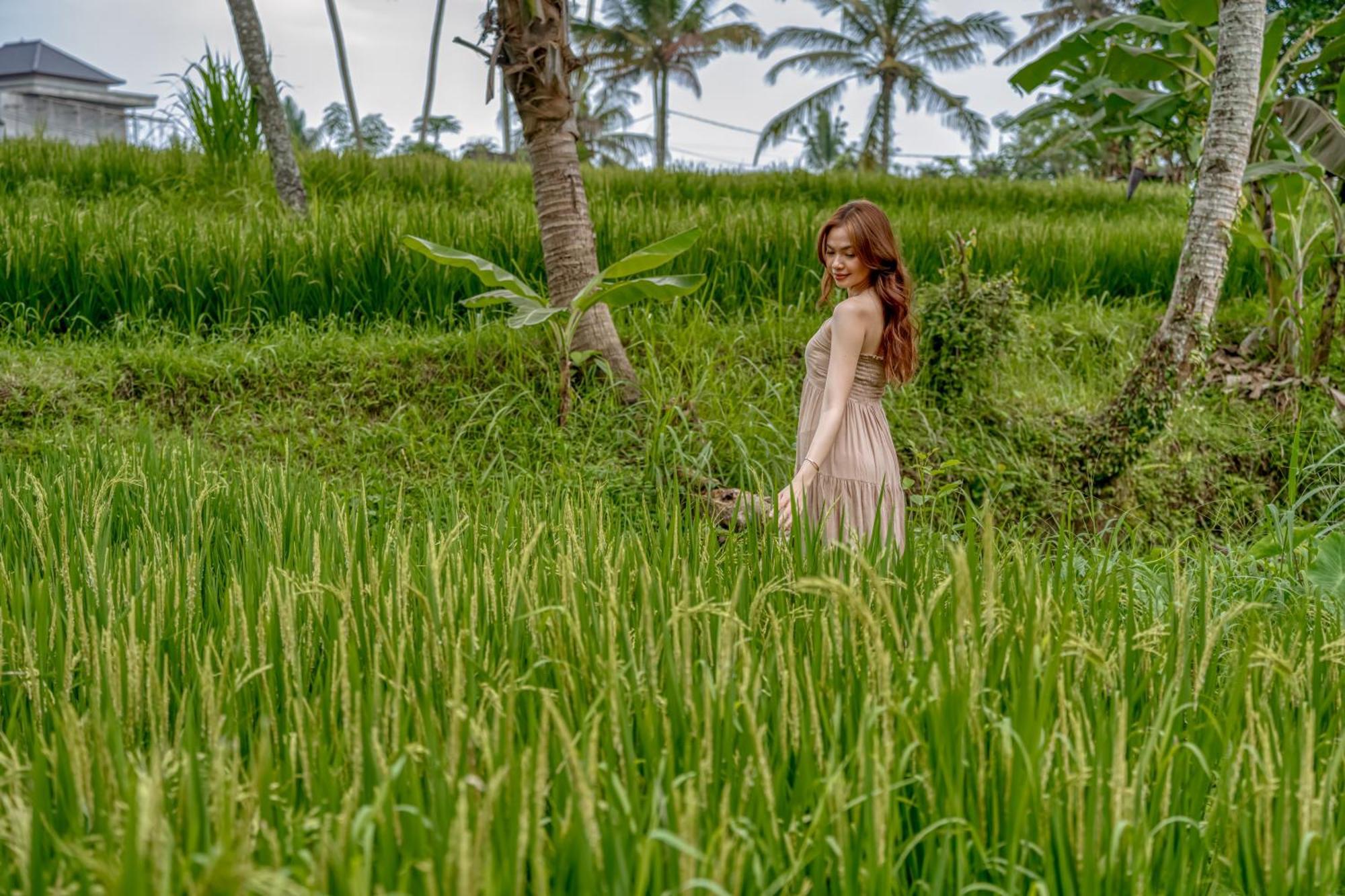 Bamboo Cabin Sanctuary By Nusantara Hospitality Ubud  Bagian luar foto