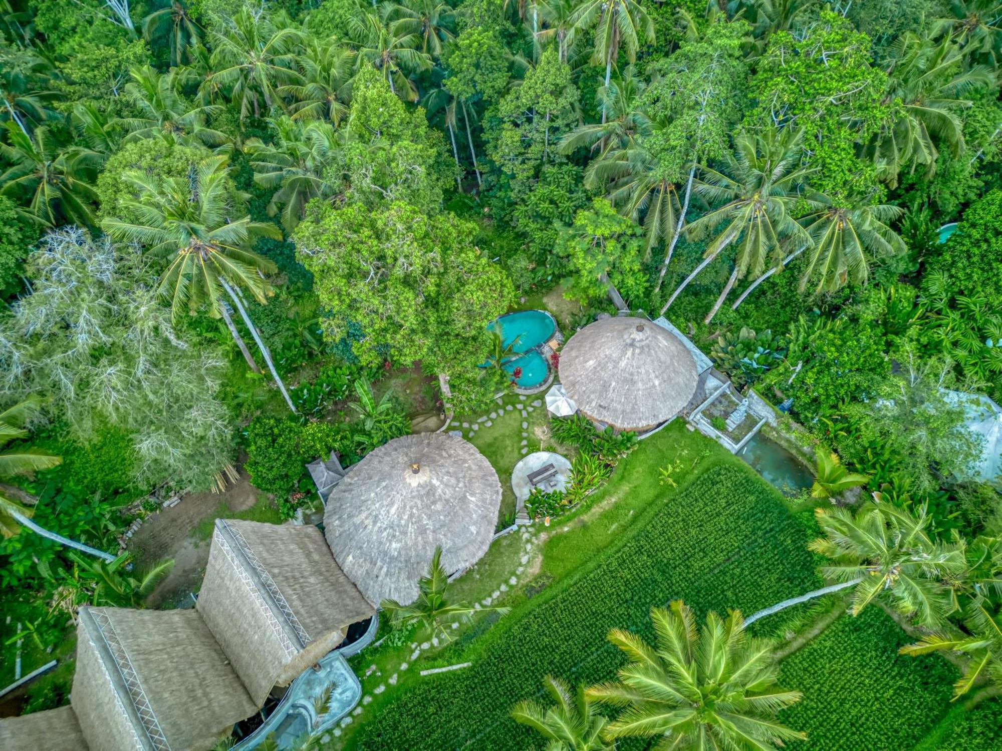 Bamboo Cabin Sanctuary By Nusantara Hospitality Ubud  Bagian luar foto